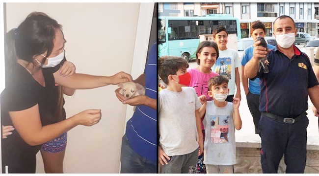 Başı sıkışan can dostların yardımına itfaiye koştu
