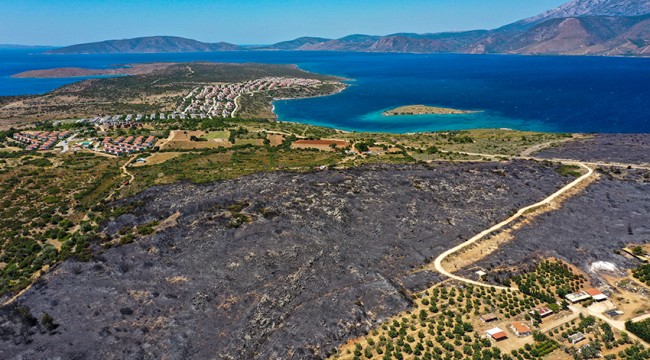 Çeşme'de yanan bölge havadan görüntülendi