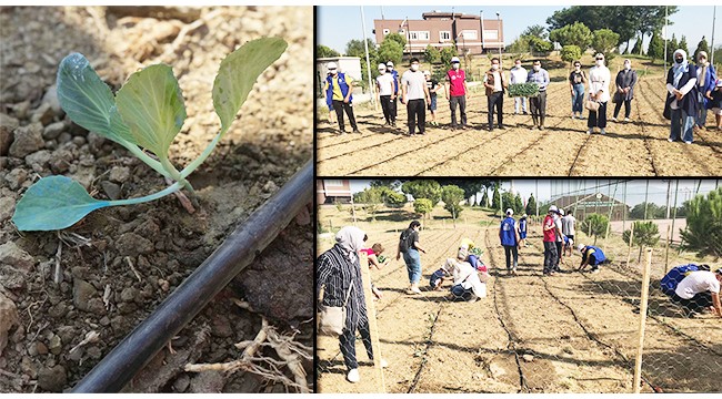 Gençlik merkezinin hobi bahçesinde 1350 fidan toprakla buluştu