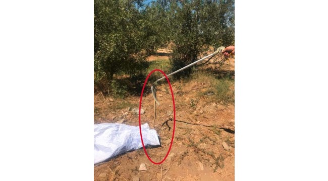 Kümese giren yılanı itfaiye ekipleri yakaladı