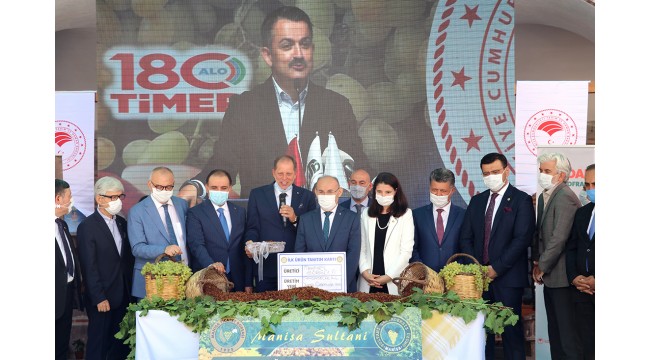 Üzümde taban fiyat belli oldu