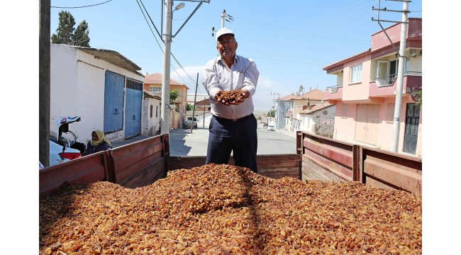 Çalınan 3 ton kuru üzüm, sahibine teslim edildi