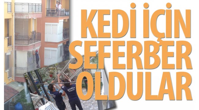 Kedi için seferber oldular