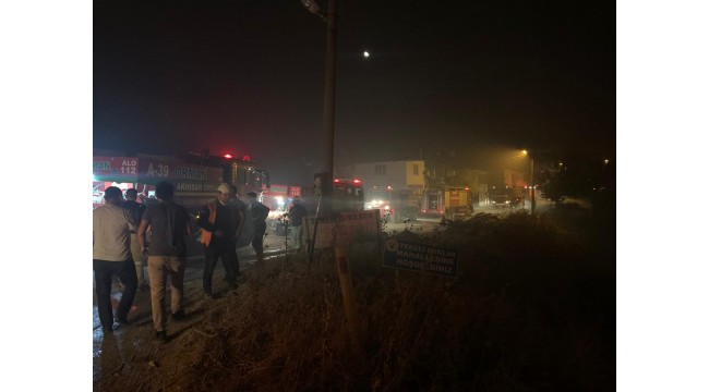 Manisa'daki orman yangını kontrol altına alındı