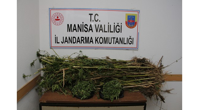 Manisa'daki uyuşturucu operasyonunda 2 kişi tutuklandı