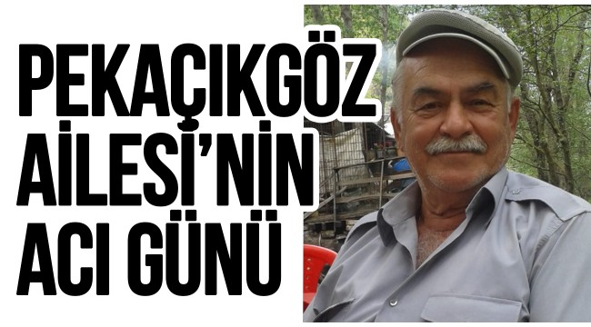 Pekaçıkgöz Ailesi'nin acı günü