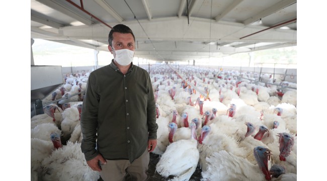 TKDK destekli hindi çiftliği, örnek oldu