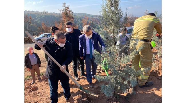 Ahmetli'de geleceğe nefes için 1500 fidan dikildi