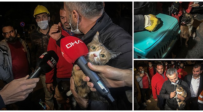 Enkazda K-9 köpeği kediyi kurtardı