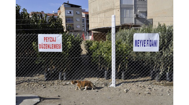 Sevgi Çiçekçilik ve Fidancılık yeni yerinde hizmette