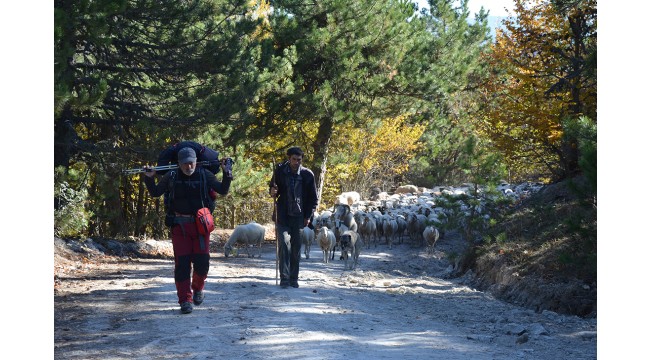 Yörükler'in göç rotalarını kayıt altına almak isteyen profesyonel dağcı 1000 kilometre yürüdü