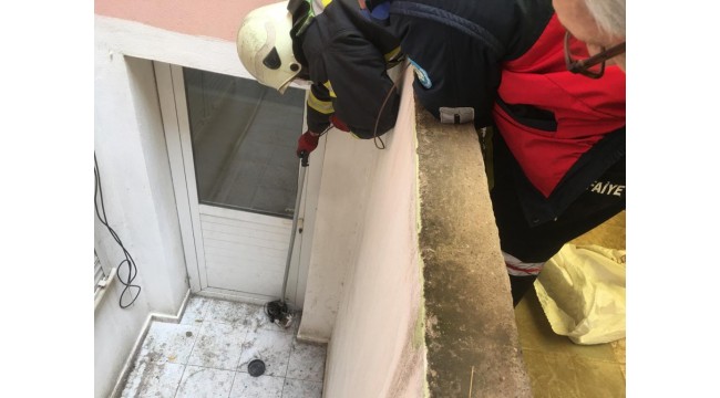 Balkonda mahsur kalan kediyi itfaiye kurtardı