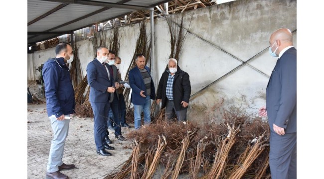 Turgutlu’da 15 üreticiye 4 bin 500 kayısı fidanı dağıtıldı