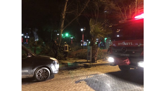 Etkili olan fırtına nedeniyle otomobilin üzerine ağaç devrildi