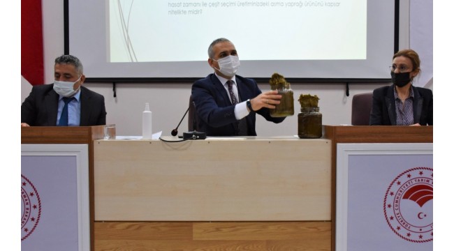 Manisa'nın asma yaprağı da "coğrafi tescil" yolunda