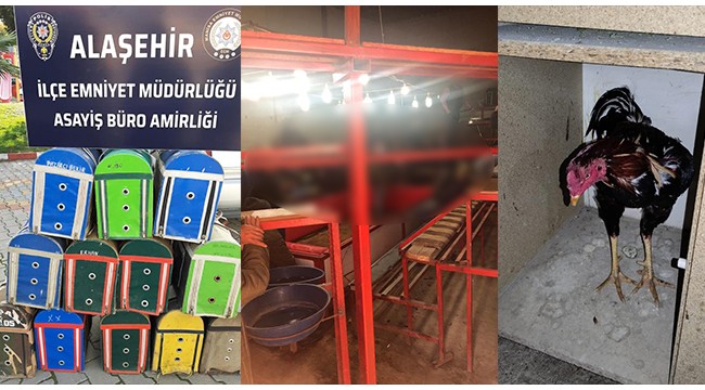Tribün ve ring kurulan salonda horoz dövüştüren 34 kişiye para cezası