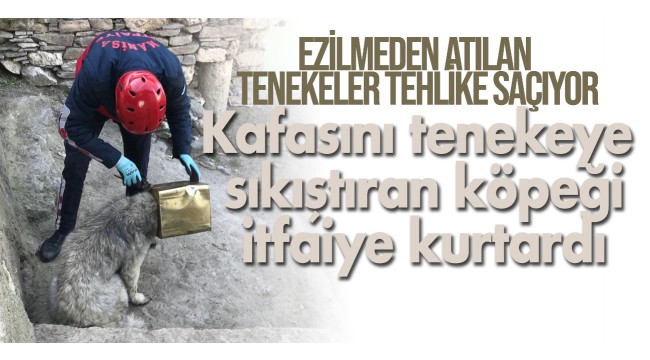 Kafası  tenekeye sıkışan köpeği itfaiye kurtardı