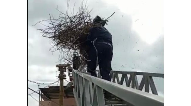 Fırtınanın uçurduğu leyleklerin yuvası itfaiye yardımıyla yerine kondu