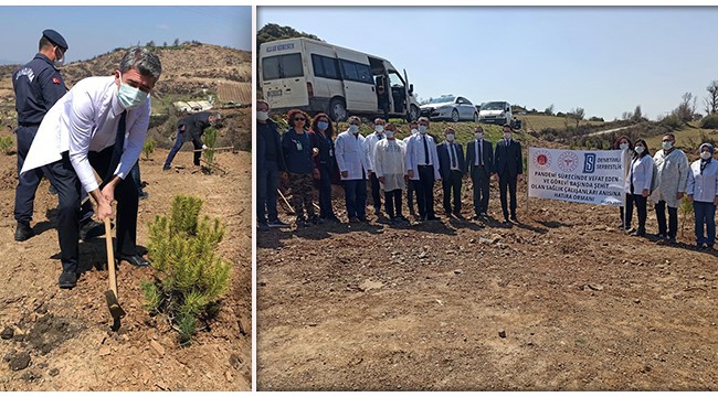 Pandemide hayatını kaybeden ve görevi başındayken şehit olan sağlıkçılar adına hatıra ormanı oluşturuldu