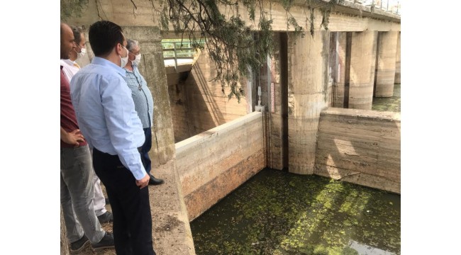 Başevirgen: 'Tarım şehrinin can damarı Gediz göz göre göre katlediliyor'