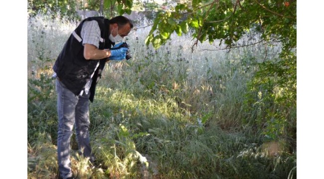 Boş araziye bırakılan bebek kurtarılamadı
