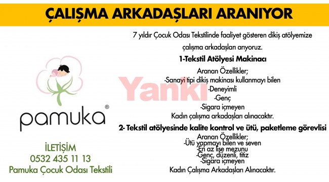 Çalışma Arkadaşları Aranıyor...