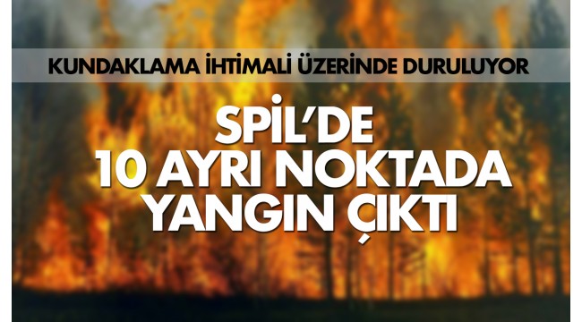 Manisa'da Spil Dağı Milli Parkı'nda çıkan orman yangını söndürüldü