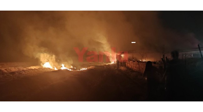 Ağılda çıkan yangın söndürüldü