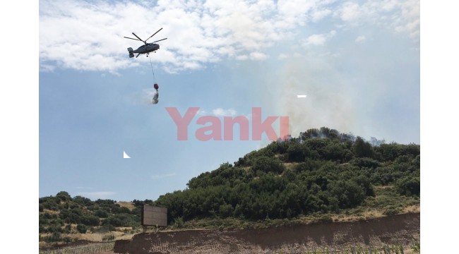 Ahmetli'deki yangında 10 dekar orman ve makilik zarar gördü