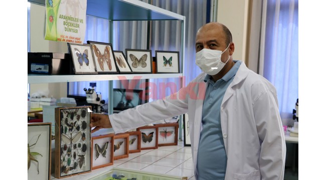 Anadolu'da çoğunluğu avcı ve tarım yararlısı 44 böcek türü keşfedildi