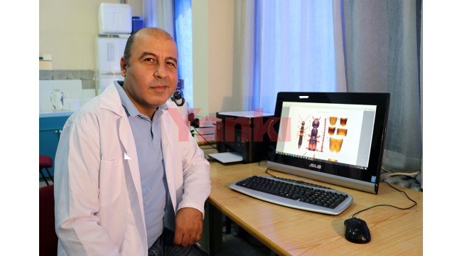 Anadolu'da yeni keşfedilen yararlı böcek türü, Aziz Sancar'ın ismiyle anılacak