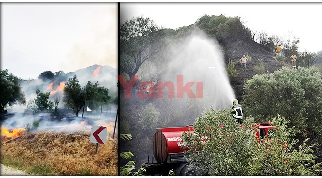 Arazi yangını büyümeden söndürüldü