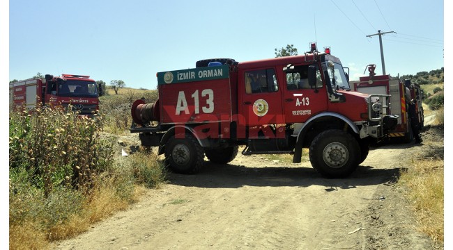 Arazi yangını evlere ve çiftliğe sıçramadan söndürüldü