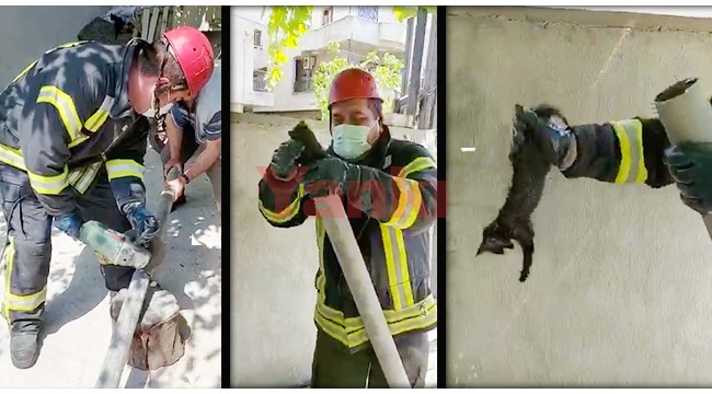 Boruda mahsur kalan kediyi itfaiye kurtardı
