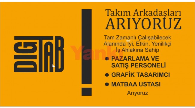 Çalışma Arkadaşları Aranıyor...