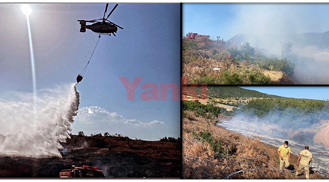 Çampınar'da ormanlık alanda yangın!  ​​​​​​​
