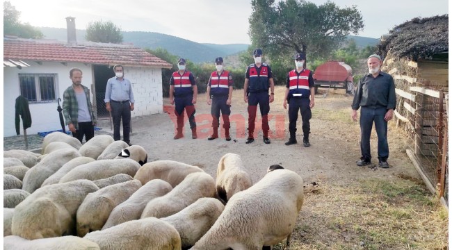 Kayıp koyunları bulunan besiciden jandarmaya teşekkür
