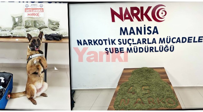 Narkotik köpeği ‘Kiraz’ otomobilde 12 kilo bonzai yakaladı