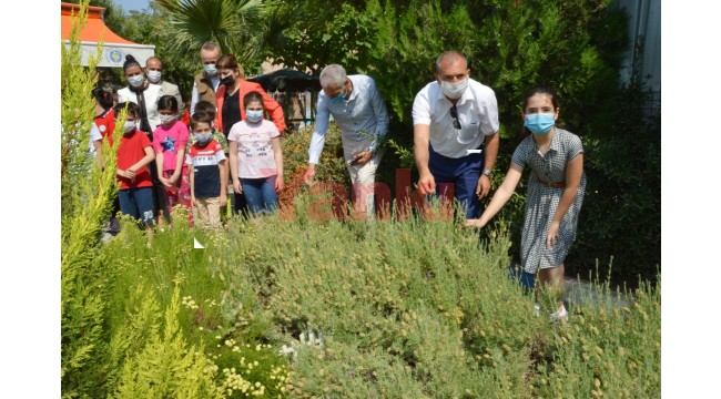 Okul değil sanki ilaç sanayi ham madde çiftliği 