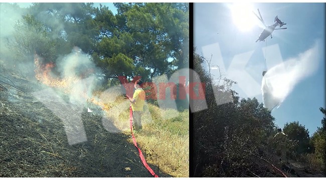 Turgutlu’da ormanlık alanda çıkan yangın söndürüldü