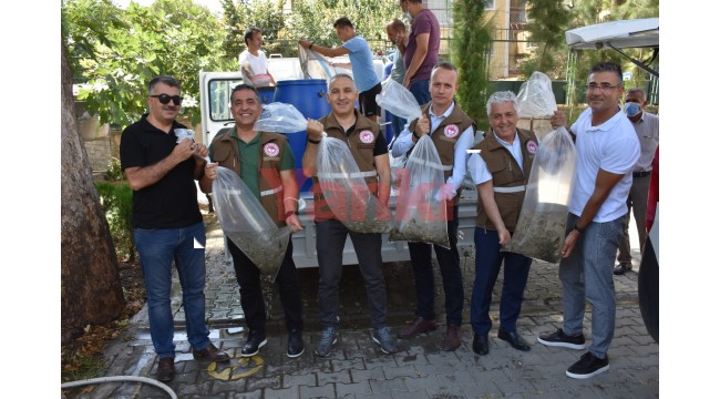694 bin pullu sazan yavrusu göl ve göletlere bırakıldı
