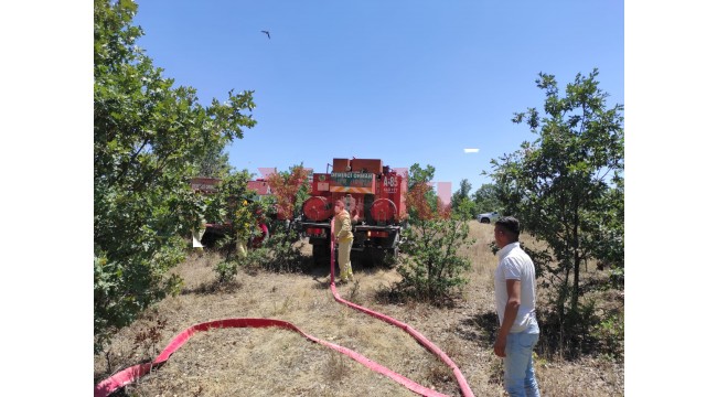 Demirci'de ormanlık alanda yangın çıktı