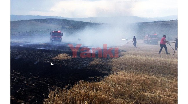 İtfaiye 6 aylık verileri paylaştı, anız ve ot yangınına karşı uyardı