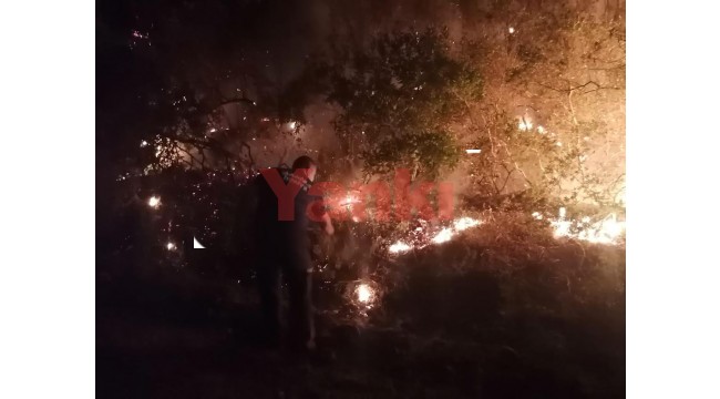Manisa İtfaiyesi destek için Manavgat ve Marmaris'te