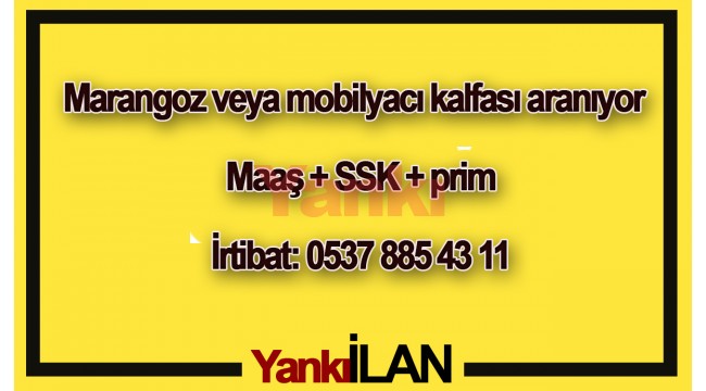 Marangoz veya mobilyacıda çalışmış eleman aranıyor