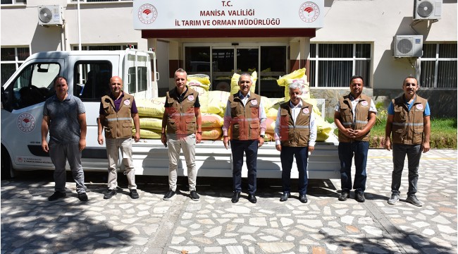 Zeytin sineğiyle biyoteknik mücadele