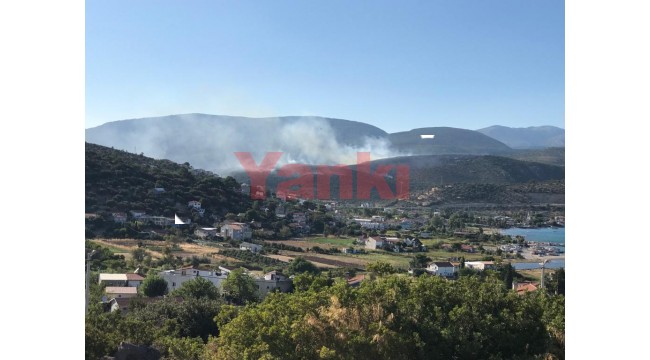 İzmir'in Menderes ve Urla ilçelerinde orman ve makilik alanlarda yangın çıktı