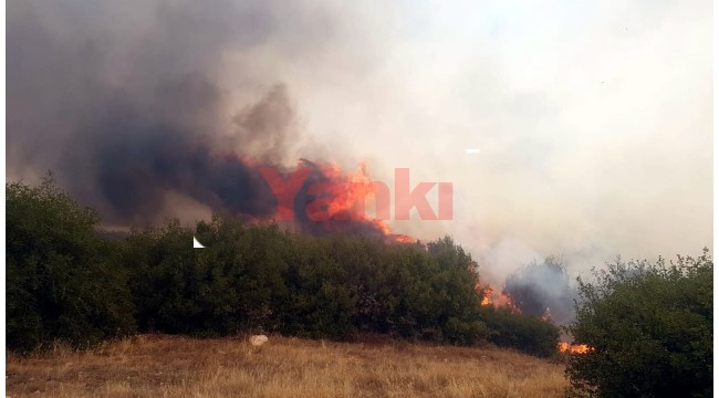 Ormana sıçrayan yangında 10 hektar zarar gördü
