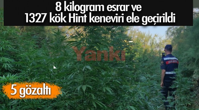 Manisa'da 8 kilogram esrar ve 1327 kök Hint keneviri ele geçirildi