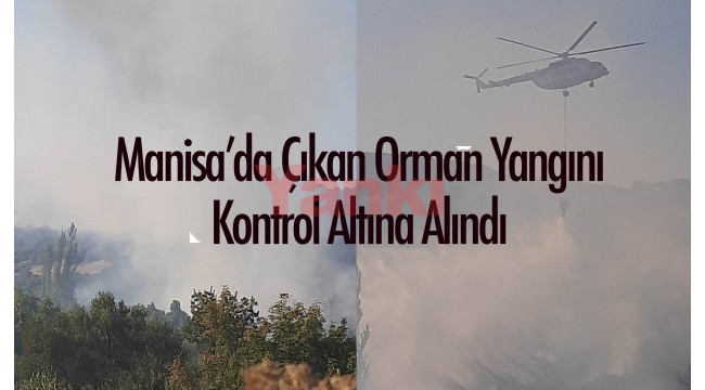 Manisa'da çıkan orman yangını kontrol altına alındı